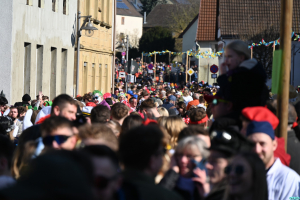 Faschingsumzug 2025