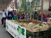 DSC09687-PS