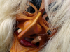 DSC09793-PS